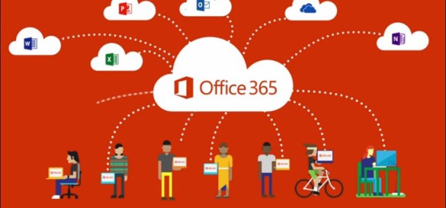 O365